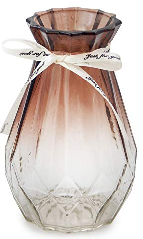 OFFIDIX Glass Vase Gradient Multicolor Vase Geometric Faceted Colorful Glass Vase for Home, Office or Wedding (Brown Clear)