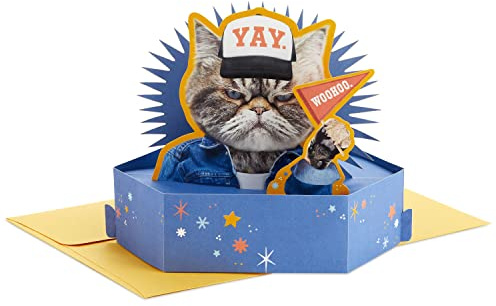 Hallmark Funny Pop Up Birthday Card (Grouchy Cat) Paper Wonder Shoebox 3D Card