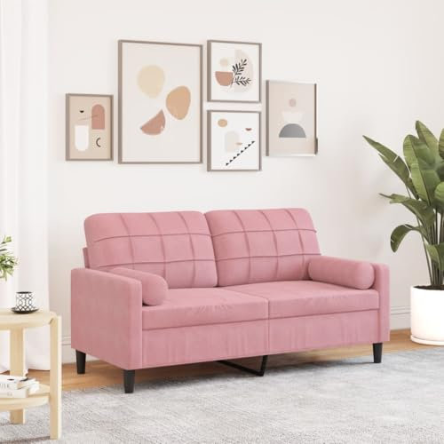 Brokky 3278222 Divano a 2 Posti con Cuscini Rosa 140 cm in Velluto Divano Letto con Seduta Imbottita,Mobile da Soggiorno Salotto Stanza Ospiti Arredamento per Riposo