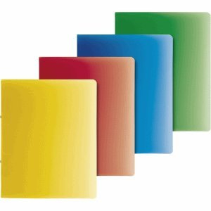 Brunnen 10 x Ringbuch Fact! A4 16mm 2 Ringe farbig Sortiert