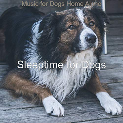 Music for Dogs Home Alone