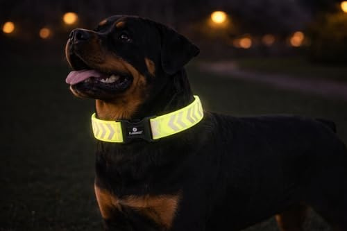 hundehalsband - Fergu Fluo gelb XL - 55-75 cm - 40 mm - Nylon verstellbar - klickverschluss - reflektierend