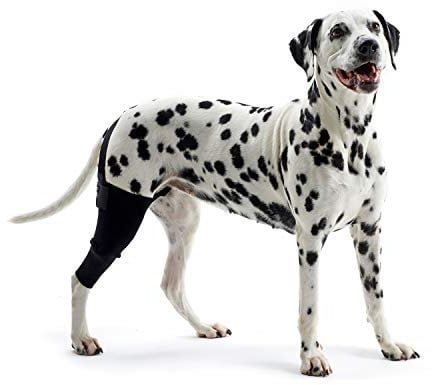 Reha-Knieschoner/Kniemanschette von Kruuse, S, Rechts