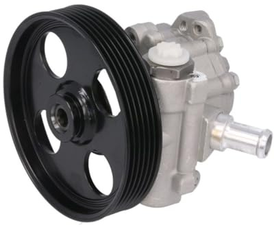 Sasic 7070058 Pumpe Servolenkung