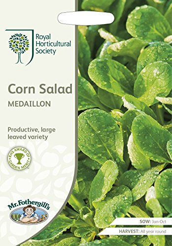 Mr Fothergills - Vegetable - RHS Corn Salad Medaillon - 500 Seeds