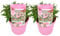 Plant in a Box - Buddleja Candy Little Pink - 2er Set - Buddleja davidii - Schmetterlingsflieder Winterhart - Rosa Blüten - Topf 19cm - Höhe 30-40cm