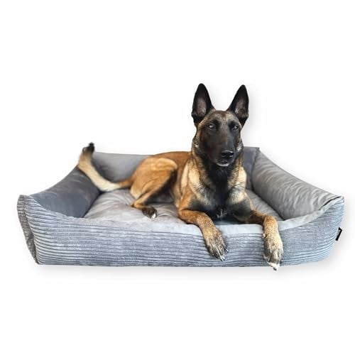 4L Textil Molly Kuscheliges Hundebett Cord XL Hundekorb große Hunde Hundekissen Cord Hundekörbchen Hundesofa (120x100 cm, Grau)