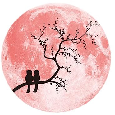 BESTonZON 1Stk Kinderzimmerdekoration leuchtende Mondtapete Liebe Vogel Hintergrund aufkleber Liebe Wandtattoo nachtleuchtende Tapete scheinen Wandgemälde Liebhaber