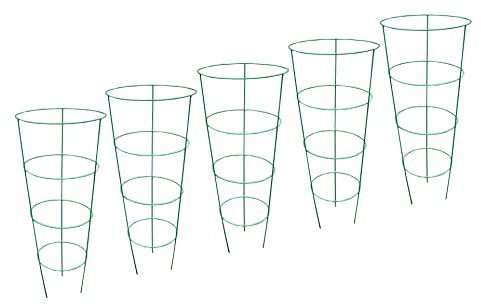 Selections Pack of 5 (75 Centimeter) Conical Garden Plant Support Rings