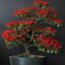 100 Stück rote Trinidad Moruga Skorpion-Chili-Pfeffer-Samen, Bonsai-Gemüsepflanzen, Samen für die Gartenbepflanzung Rote Chilisamen 100pcs