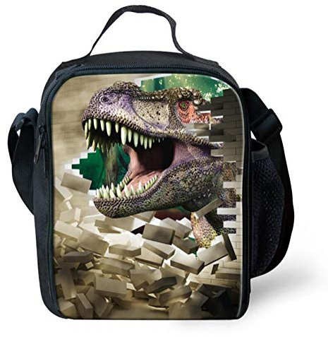 Leberna 3D Print Animal Insulated Lunch Bag with Bottle Holder Adjustable Strap for Kids T-Rex