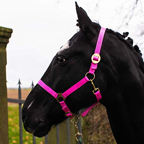 Halfter für Pferd Warmblut, Vollblut, Kaltblut – Stallhalfter, Weidehalfter, 2 Fach verstellbar an Kinnriemen und Genickstück, sicher & reißfest (Pink, Mini Shetty)