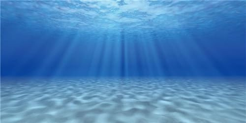 91x41cm Undersea Theme Aquarium Background Sunshine Fish Tank Decoration | Underwater World Fish Tank Background Reptile Habitat Terrarium Decoration Vinyl Fabric Cloth Not Sticker