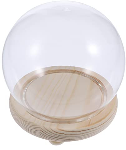 DRESSOOS 1Stk sphärische Glasabdeckung glaskuppel glass container kleine Cupcake-Pfannen Cupcake-Halter Papierbecher Vase Einmachglas konservierter Blumenbehälter Mini schmücken Anlage