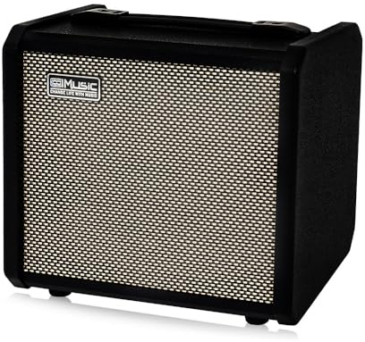 TS20 Bass Combo Amp -20W adatto per basso elettrico