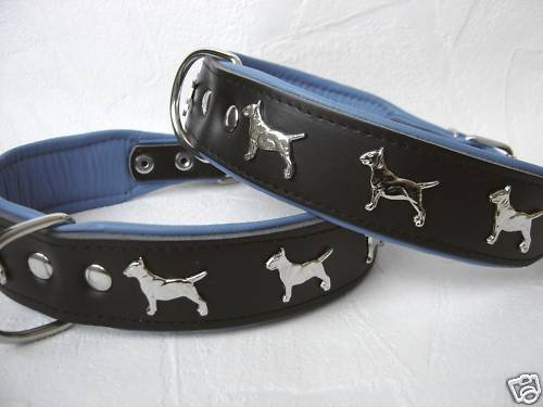 Bullterrier HUNDEHALSBAND - Halsband, Halsumfang 44-52cm/50mm, Leder Schwarz-Dunkel Blau