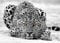 Runa Art Papier peint intissé Mural Leopard Afrique Moderne Toison Salon Chambre à Coucherr Salle - Tableaux Muraux Tapisserie Photo - Noir et blanc 9034010b