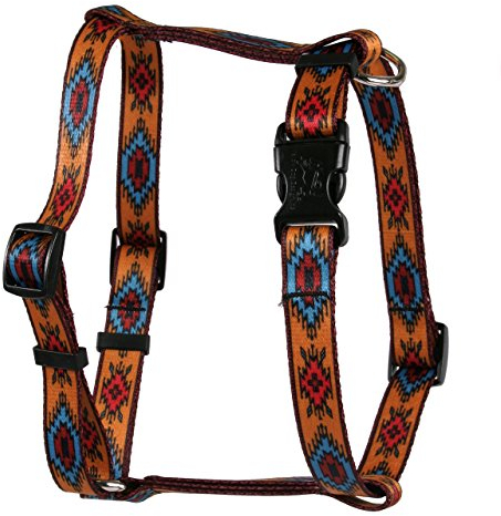Yellow Dog Design Indian Spirit Hundegeschirr, römischer Stil, Größe L, Orange