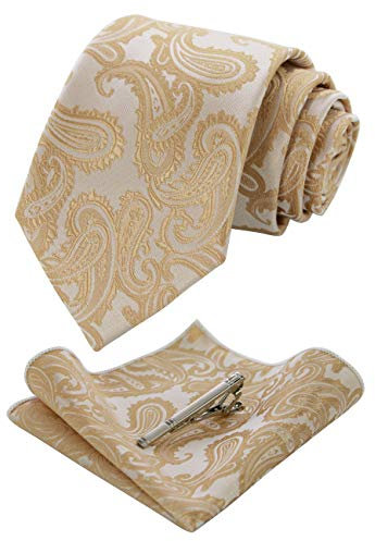 JEMYGINS Graziös Paisley Elegant Herren Krawatte und Einstecktuch mit krawattenklammer Sets (Champagnergold)