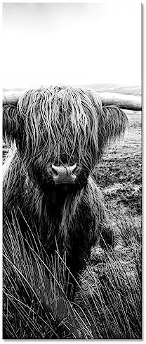 Pixxprint Glasbild Panorama, Wandbild aus Echtglas, Highland Rind mit großen Hörnern Steppe, Monochrome, 100x40 cm, inkl. Aufhängung und Abstandshalter