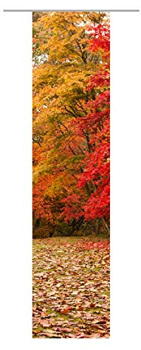 gardinen-for-life Flächenvorhang Herbstlichtung II, Schiebevorhang mit Druck-Motiv, Gr.60x245 cm, Herbst
