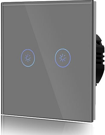 BSEED Interrupteur Gradateur 700W Interrupteur Tactile Interrupteur Mural Panneaux en Verre Trempé Fonctionne avec Des Lumières LED à Intensité Variable 2 Gang 1 Voie Gris