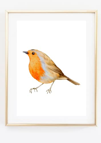 Din A4 Kunstdruck ohne Rahmen - Rotkehlchen Vogel Natur Aquarell Druck Poster Bild