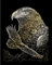 Royal & Langnickel - Kratzbild Adler, Gold, Kratzbilder für Kinder und Erwachsene, mit Kratzstift und Vorlage