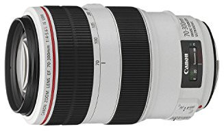 Canon EF 70-300mm f/4.0-5.6L IS USM - Objetivo para Canon (Distancia Focal 70-300mm, Apertura f/4-45, estabilizador, diámetro: 67mm) Negro