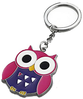 ARFUKA Schlüsselanhänger Edelstahl Auto Schlüsselanhänger Bunte Eule Anhänger Metall Keychain Schlüsselbund Geburtstag Weihnachtsgeschenke für Männer und Frauen