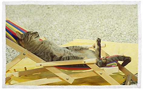 hengpai Graue Katze, Sonnenliege, warmer Druck, Haustierdecke, Bettüberwurf für Katzen