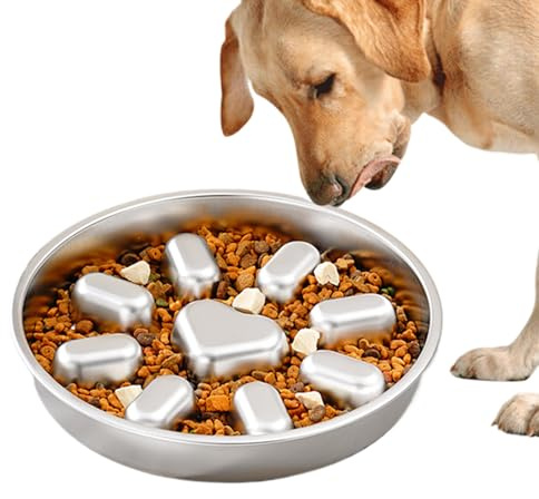 Lento para Perros Plato Antiahogo Tipo Laberinto