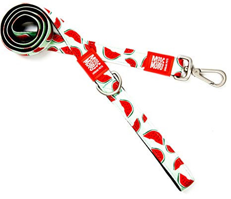 Max & Molly Wassermelone und bunt | einzigartiges Design | bequem | sicher | gepolstertes Neopren | sportlich und elegant | Kurze Leinen, M