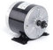 350W Permanentmagnet Generator, 11 Gänge Permanent Magnetmotor Generator Für Windkraftanlagen 24V/36V 2700U/min (36V)