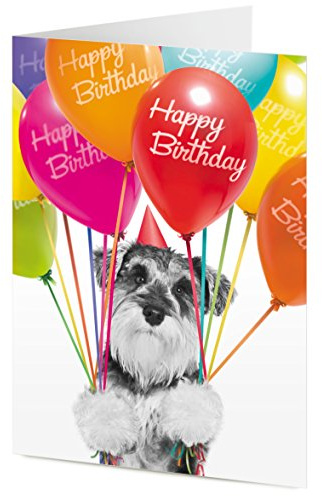 Schnauzer dog holding coloured balloons Happy Birthday card