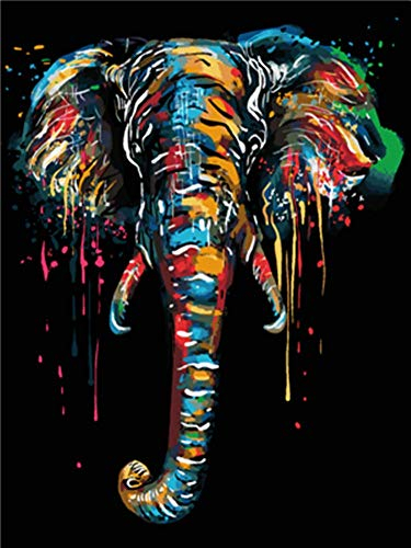 WOWDECOR DIY Malen nach Zahlen für Erwachsene Kinder Mädchen, Bunt Elefant Tiere 40x50cm Vorgedruckt Leinwand-Ölgemälde (ohne Rahmen)