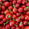 semi di PEPERONCINO TONDO CALABRESE