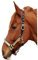 Halfter Hilly Go Goldfarben Glitzer wie Strass Minishetty Shetty Pony VB WB X- Full Kleiner Kalter Tysons B- Ware !!! (VB)