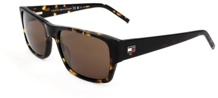 Tommy Hilfiger Men's Th 2017/S Sunglasses