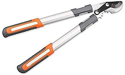 Sécateur Sécateur à enclume Sécateur à engrenages Système de coupe pour élaguer Arbre Haie Branche Longueur manche 36 cm Longueur tondeuse 7 cm