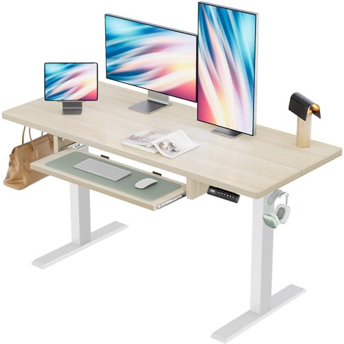Marsail Electric Standing Desk with Ergonomic Keyboard Tray, Adjustable Desk with 27.5” to 46.7” Height Range, 4 Memory Presets, Smooth and Quiet Lifting, 48 x 24 inch Adjustable Height,TZESD14Modern