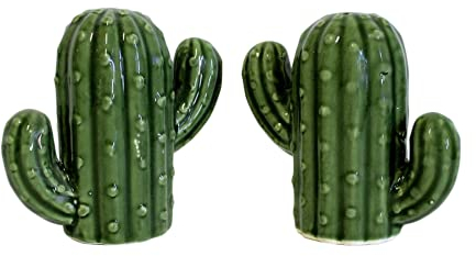 Hand-Painted Ceramic Cactus Salt and Pepper Set - Kitchen Dining Room Perfect Housewarming Holiday Birthday and Mother's Day Gift