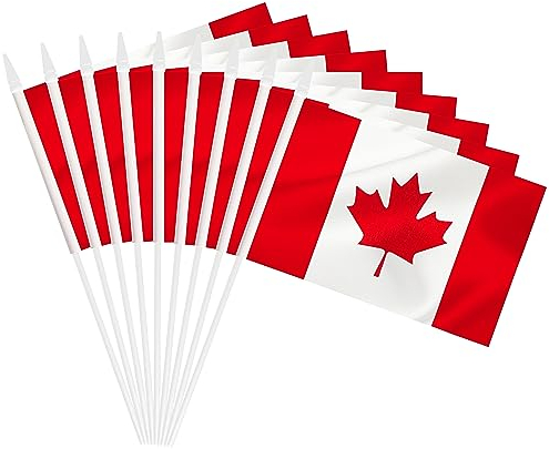 Lot de 25 mini drapeaux du Canada, petits drapeaux miniatures canadiens à main avec mât blanc massif de 30,5 cm, drapeau de 12,7 x 20,3 cm, décoration extérieure, décorations de fête, fournitures pour
