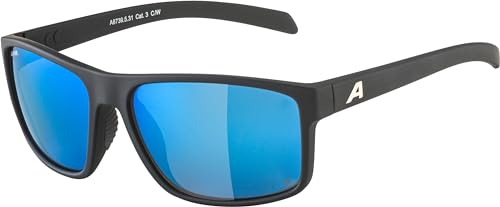 ALPINA Unisex NACAN I P Sonnenbrille, Black matt, One Size
