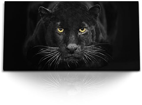 Paul Sinus Kunstdruck Bilder 120x60cm Schwarzer Panther Jaguar Raubkatze Tierfotografie