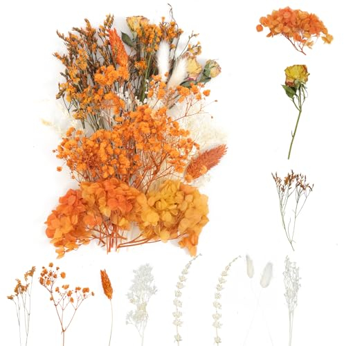 ANLIOTO Mini Trockenblumen Klein Rosa, Trockenblumen zum Basteln Getrocknete Blumen Dried Flowers für Hochzeit, Deko