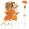 ANLIOTO Trockenblumen zum Basteln, Trockenblumen Klein, Trockenblume, Trockenblumen Deko für Zubehör Handgemachte Heimdekoration Hochzeit (Stil 3)