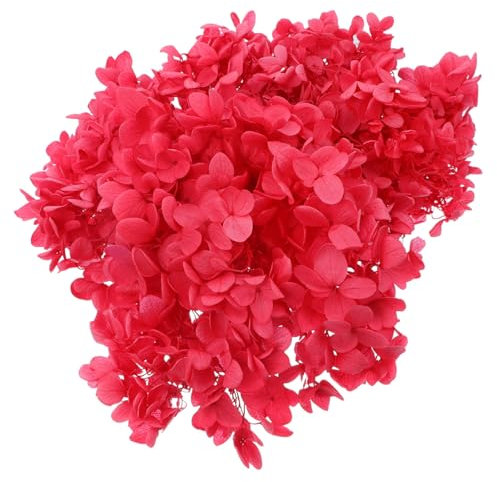 KITANDOVE Getrocknete Hortensienblüten Unsterbliche Blumen Naturgetreue Blumen DIY-Material Blumendekoration Blumenmaterial Handgefertigt Blumenkunst