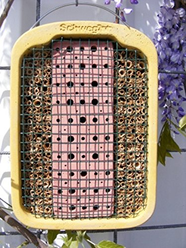 Schwegler 00377/5 Insekten-Nistwand 21,5 x 30 x 12 cm