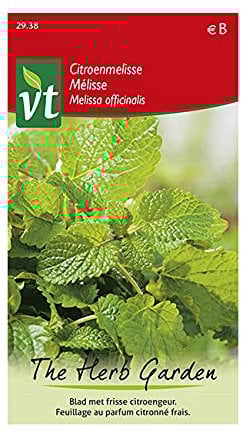 Lemon Balm - Herb Seeds